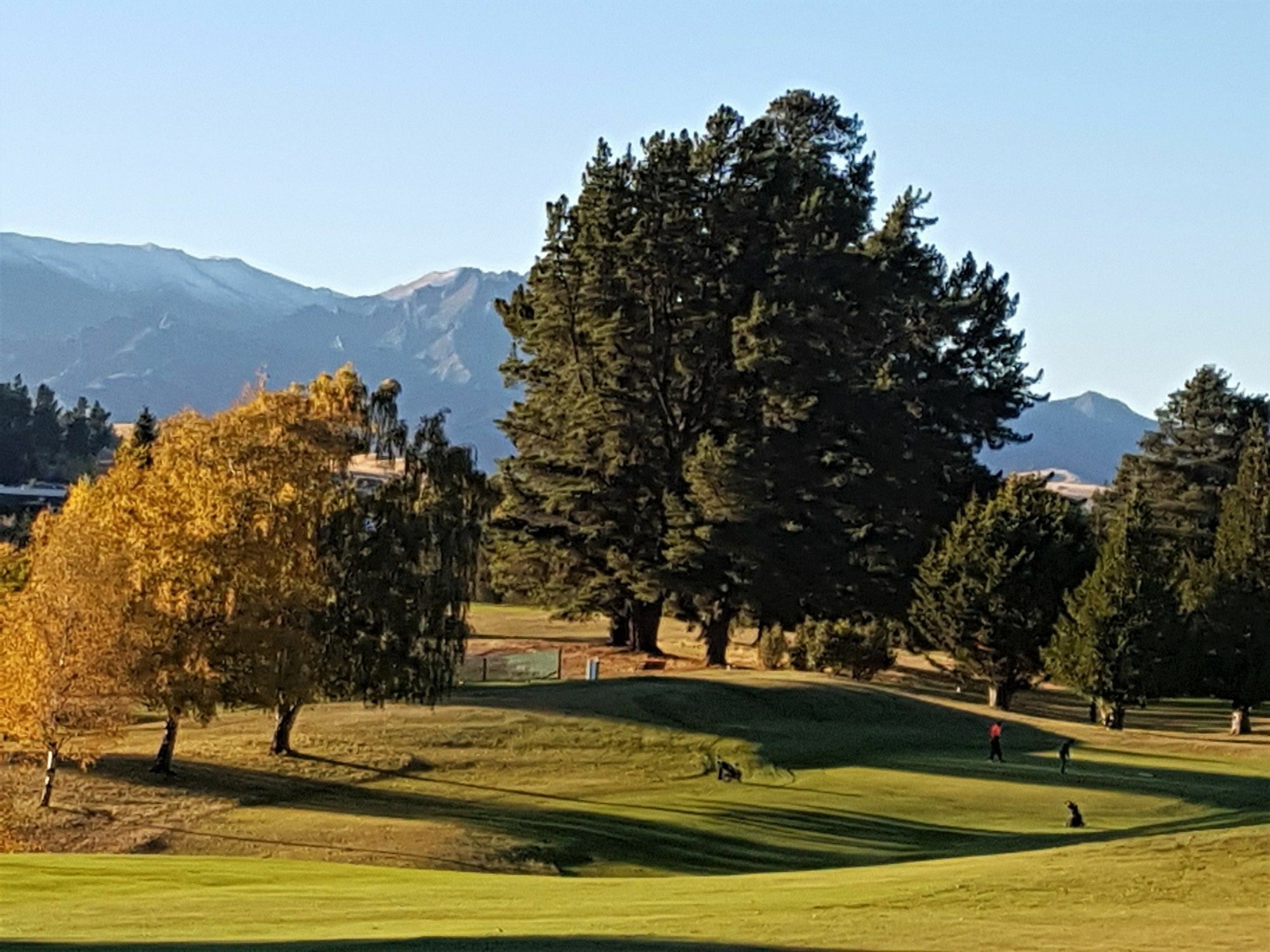 Copper Beech Wanaka - Luxury Accommodation Eksteriør billede